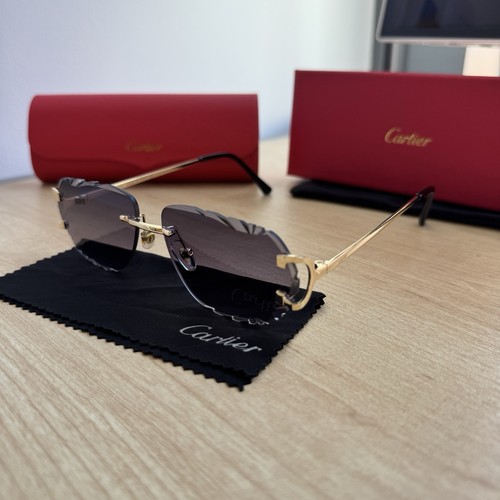 Occhiali sole uomo - occhiali, cartier