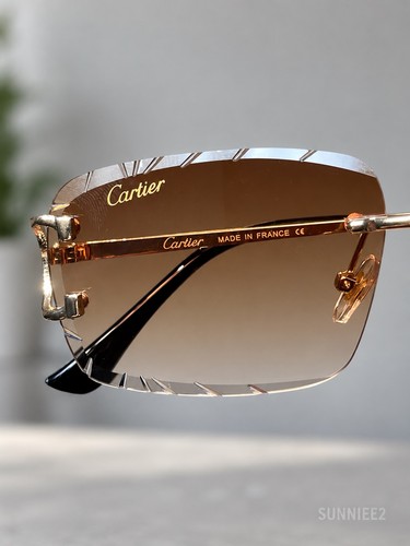 Occhiali cartier big - big, c